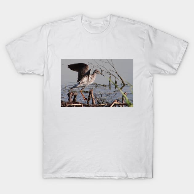 Shorebird Taking Flight T-Shirt by Judy Geller